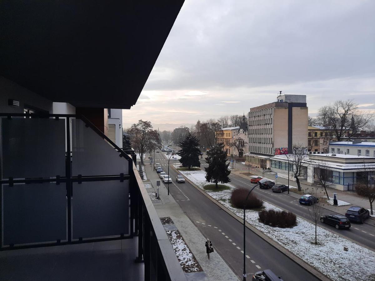 Apartament Przy Plantach Nowy Sacz Bagian luar foto